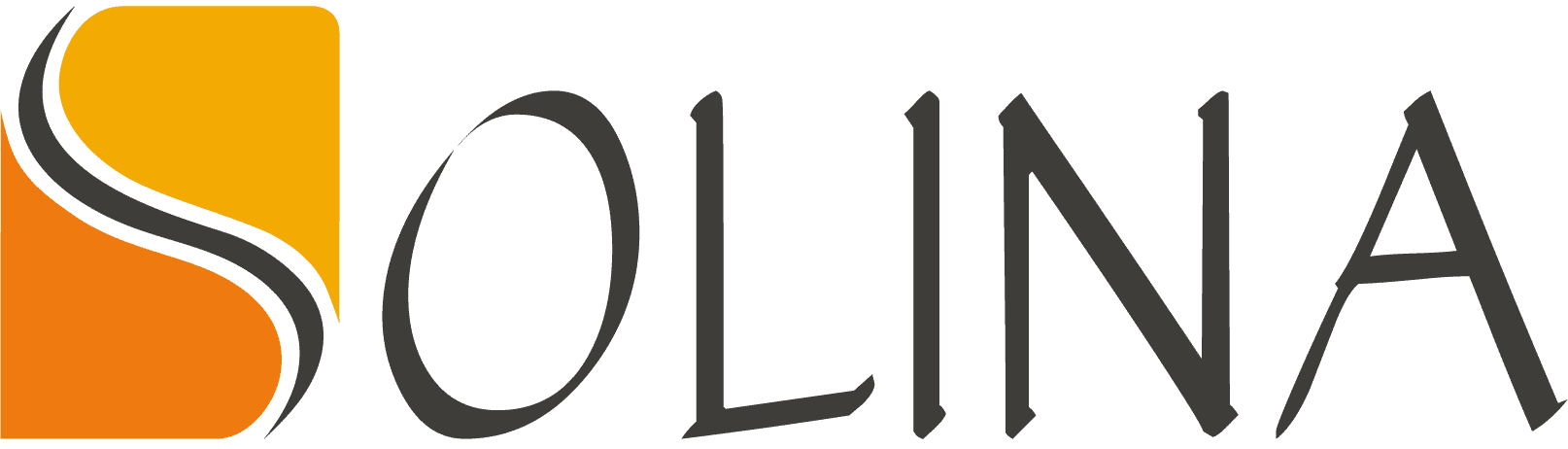 solina logo